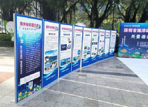 泸定KT板的种类和知识。